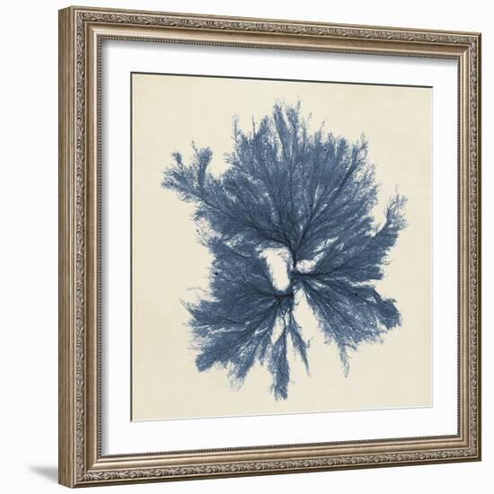 Coastal Seaweed V-Vision Studio-Framed Giclee Print