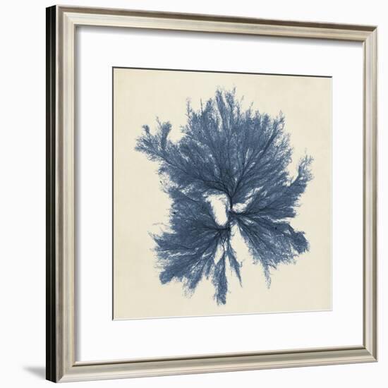 Coastal Seaweed V-Vision Studio-Framed Giclee Print