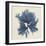 Coastal Seaweed V-Vision Studio-Framed Giclee Print