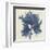 Coastal Seaweed V-Vision Studio-Framed Giclee Print