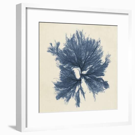 Coastal Seaweed V-Vision Studio-Framed Giclee Print