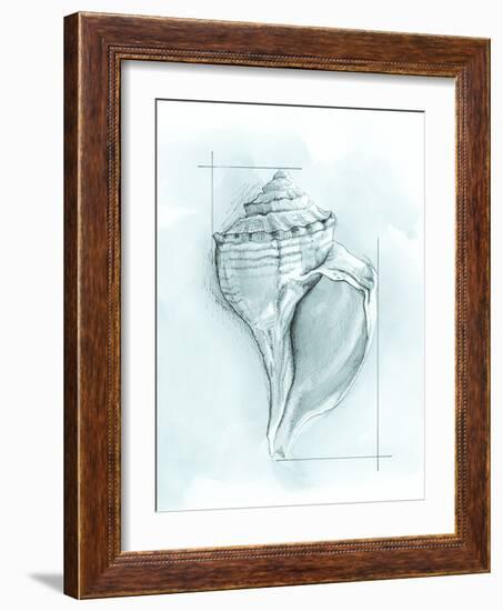 Coastal Shell Schematic I-Megan Meagher-Framed Art Print