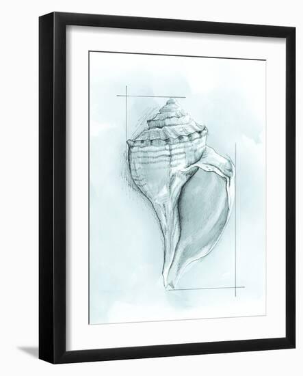 Coastal Shell Schematic I-Megan Meagher-Framed Art Print
