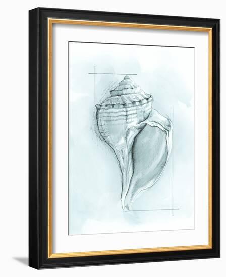 Coastal Shell Schematic I-Megan Meagher-Framed Art Print