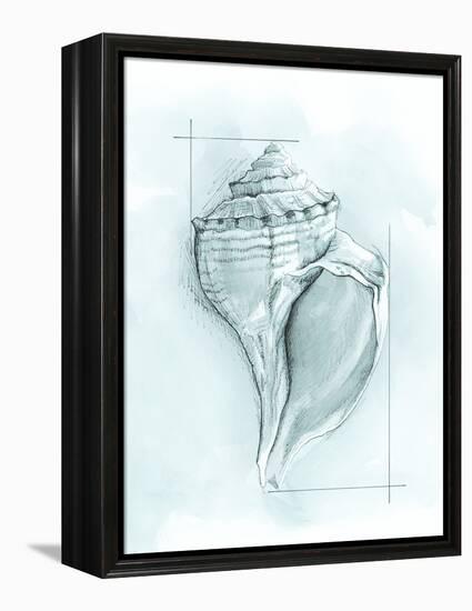 Coastal Shell Schematic I-Megan Meagher-Framed Stretched Canvas