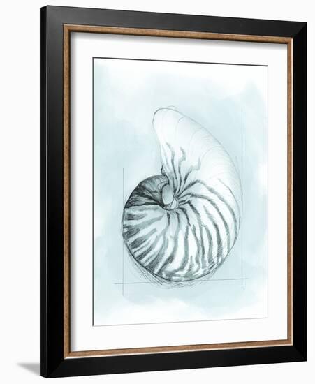 Coastal Shell Schematic II-Megan Meagher-Framed Art Print