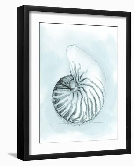 Coastal Shell Schematic II-Megan Meagher-Framed Art Print