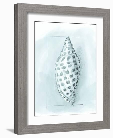 Coastal Shell Schematic IV-Megan Meagher-Framed Art Print