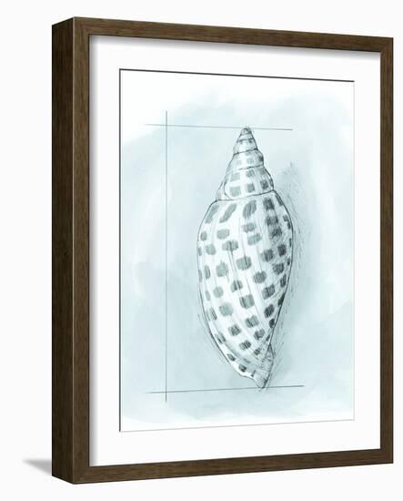 Coastal Shell Schematic IV-Megan Meagher-Framed Art Print