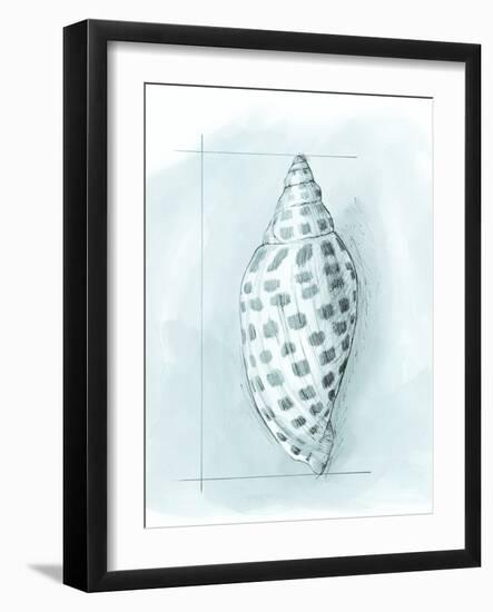 Coastal Shell Schematic IV-Megan Meagher-Framed Art Print