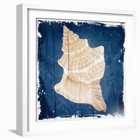 Coastal Shells 1-Kimberly Allen-Framed Art Print