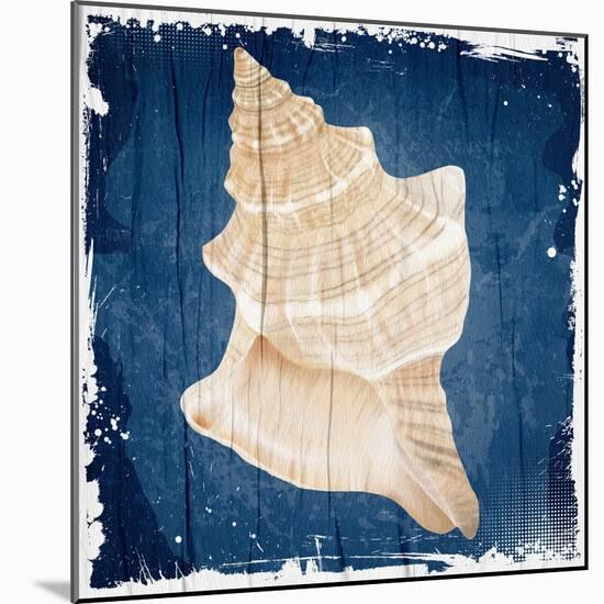 Coastal Shells 1-Kimberly Allen-Mounted Art Print