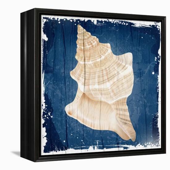 Coastal Shells 1-Kimberly Allen-Framed Stretched Canvas