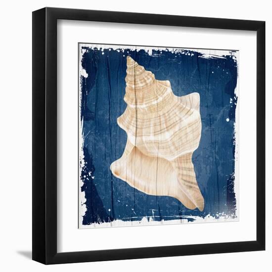Coastal Shells 1-Kimberly Allen-Framed Art Print