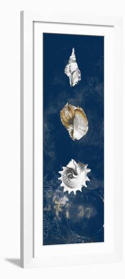 Coastal Shells Panel II-Lanie Loreth-Framed Premium Giclee Print