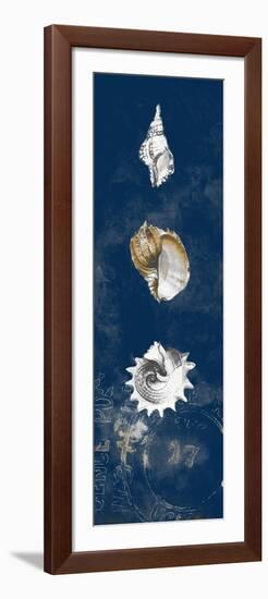 Coastal Shells Panel II-Lanie Loreth-Framed Premium Giclee Print