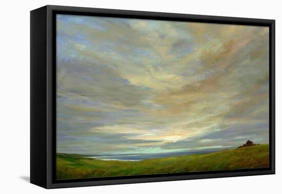 Coastal Sky-Sheila Finch-Framed Stretched Canvas