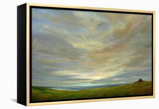 Coastal Sky-Sheila Finch-Framed Stretched Canvas