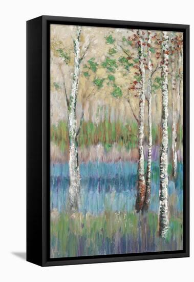 Coastal Spring Birch-James Zheng-Framed Stretched Canvas