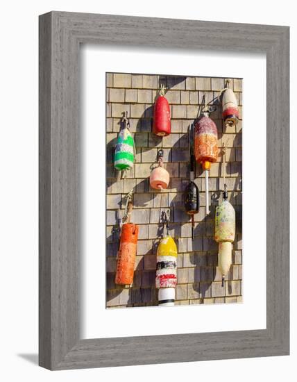 Coastal Trappings I-Laura DeNardo-Framed Photographic Print