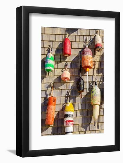 Coastal Trappings I-Laura DeNardo-Framed Photographic Print