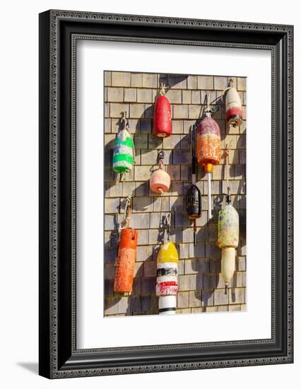 Coastal Trappings I-Laura DeNardo-Framed Photographic Print