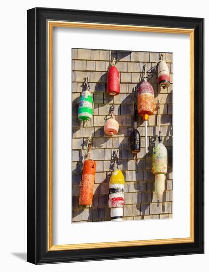 Coastal Trappings I-Laura DeNardo-Framed Photographic Print