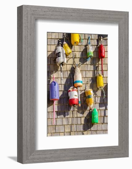 Coastal Trappings II-Laura DeNardo-Framed Photographic Print