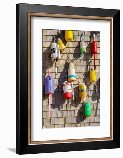 Coastal Trappings II-Laura DeNardo-Framed Photographic Print