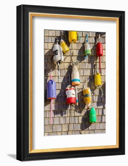 Coastal Trappings II-Laura DeNardo-Framed Photographic Print