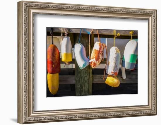 Coastal Trappings III-Laura DeNardo-Framed Photographic Print