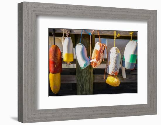 Coastal Trappings III-Laura DeNardo-Framed Photographic Print