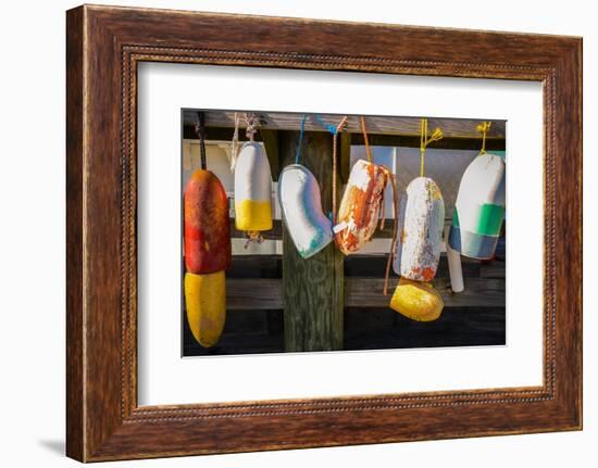 Coastal Trappings III-Laura DeNardo-Framed Photographic Print