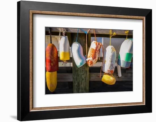 Coastal Trappings III-Laura DeNardo-Framed Photographic Print