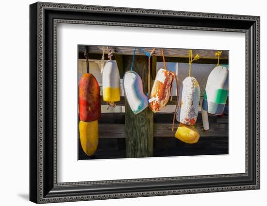 Coastal Trappings III-Laura DeNardo-Framed Photographic Print