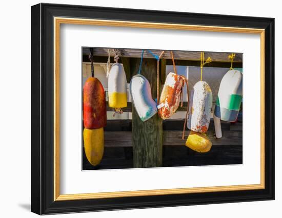 Coastal Trappings III-Laura DeNardo-Framed Photographic Print