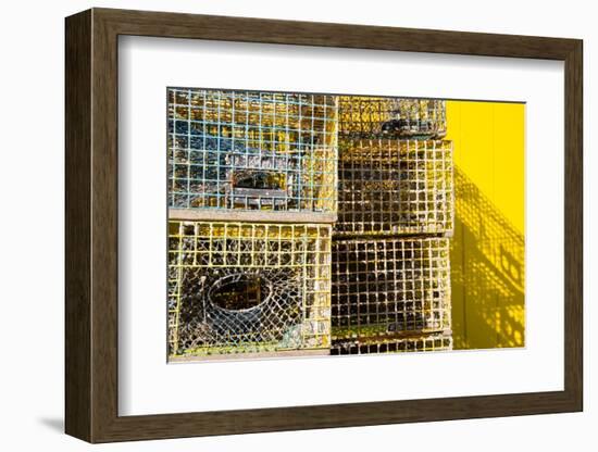 Coastal Trappings IV-Laura DeNardo-Framed Photographic Print