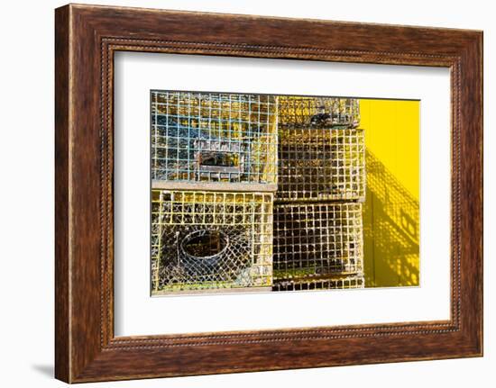 Coastal Trappings IV-Laura DeNardo-Framed Photographic Print