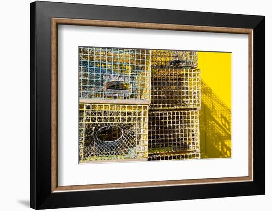 Coastal Trappings IV-Laura DeNardo-Framed Photographic Print