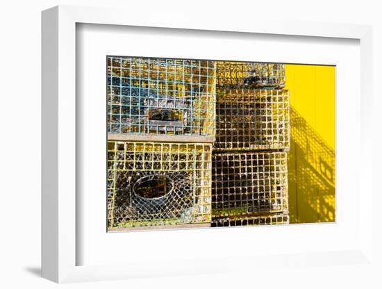 Coastal Trappings IV-Laura DeNardo-Framed Photographic Print