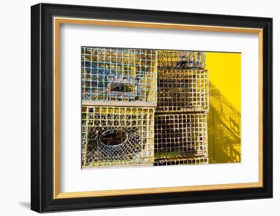 Coastal Trappings IV-Laura DeNardo-Framed Photographic Print