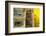 Coastal Trappings IV-Laura DeNardo-Framed Photographic Print