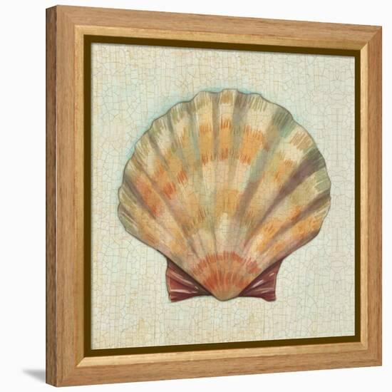 Coastal Treasures I-Josefina-Framed Stretched Canvas