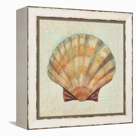 Coastal Treasures I-Josefina-Framed Stretched Canvas