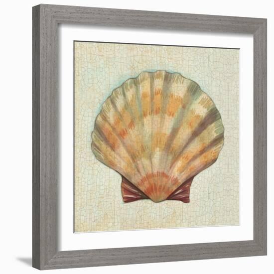 Coastal Treasures I-Josefina-Framed Art Print