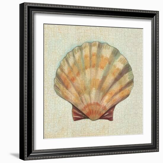 Coastal Treasures I-Josefina-Framed Art Print