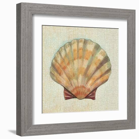 Coastal Treasures I-Josefina-Framed Art Print