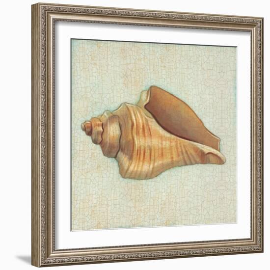 Coastal Treasures II-Josefina-Framed Art Print