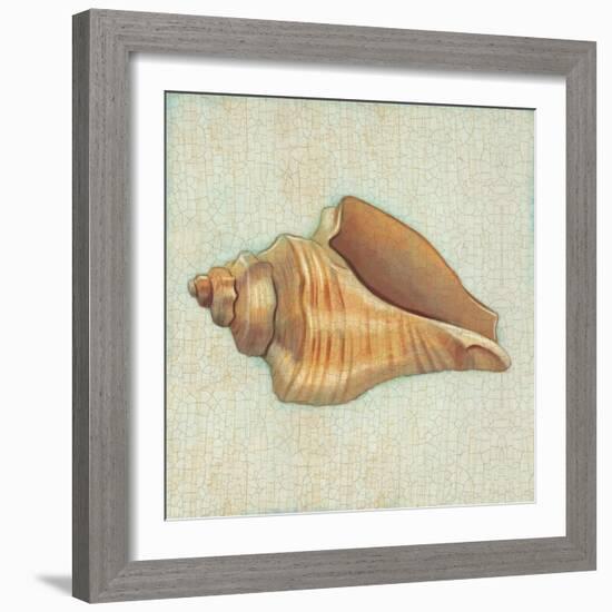 Coastal Treasures II-Josefina-Framed Art Print