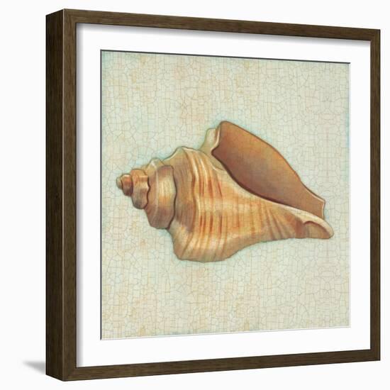 Coastal Treasures II-Josefina-Framed Art Print